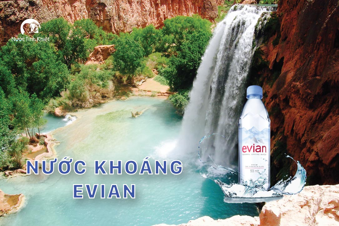 Chai nước khoáng Evian 500ml