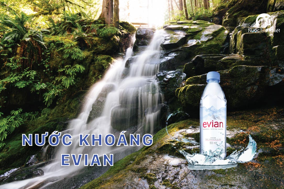 Chai nước khoáng Evian 500ml