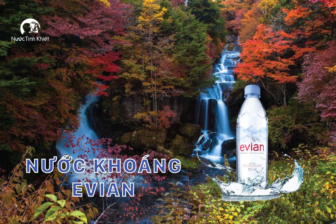 Chai nước khoáng Evian 500ml