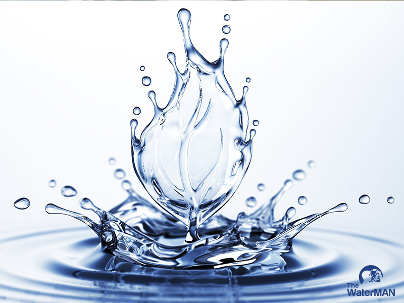 Nước đóng vai trò quan trọng với sức khỏe con người